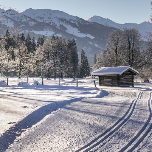 winter holiday cross-country-skiing kitzbühel 